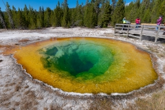 Die heiße Quelle "Morninig Glory Pool" im Yellowstone Nationalpark wird von thermophilen Bakterien besiedelt. Die blauen und grünen Bakterien wachsen in heißen Bereichen, die gelben und braunen Bakterien in Bereichen mit geringeren Temperaturen.